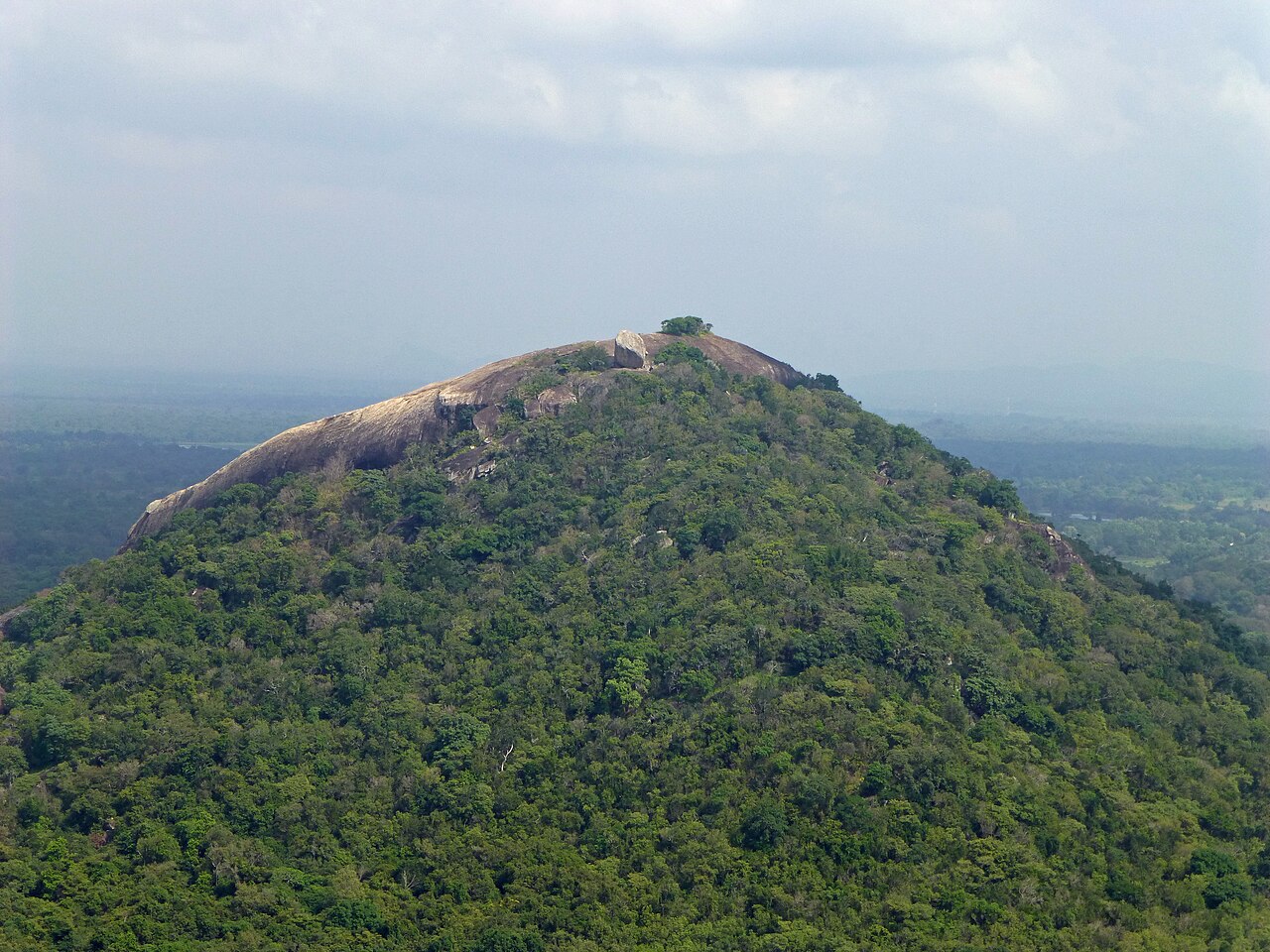 Pidurangala Rock